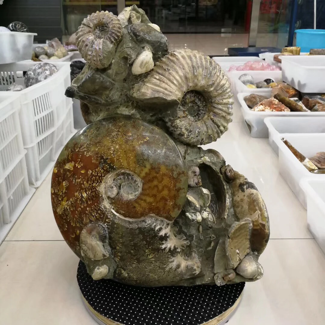 Высокое качество Коллекция fengshui подарки рок винт образец fossil