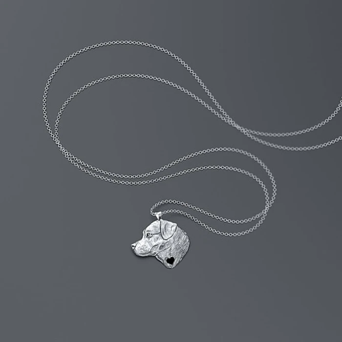 Ромашки Новое поступление Женская обувь с серебряным покрытием 3D Лабрадор