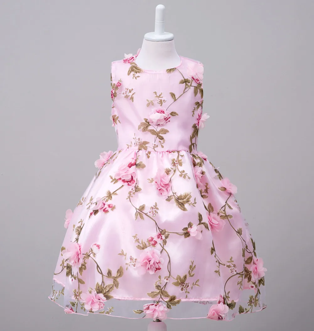 

Girls Princess Dress Children's Skirt Autumn New European and American Style Floral Children's Dress Dress Children's Skirt