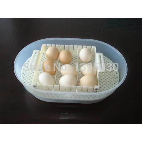 1pc JN12 Mini Automatic digital egg incubator hatcher brooder Small egg automatic incubator 110/220V