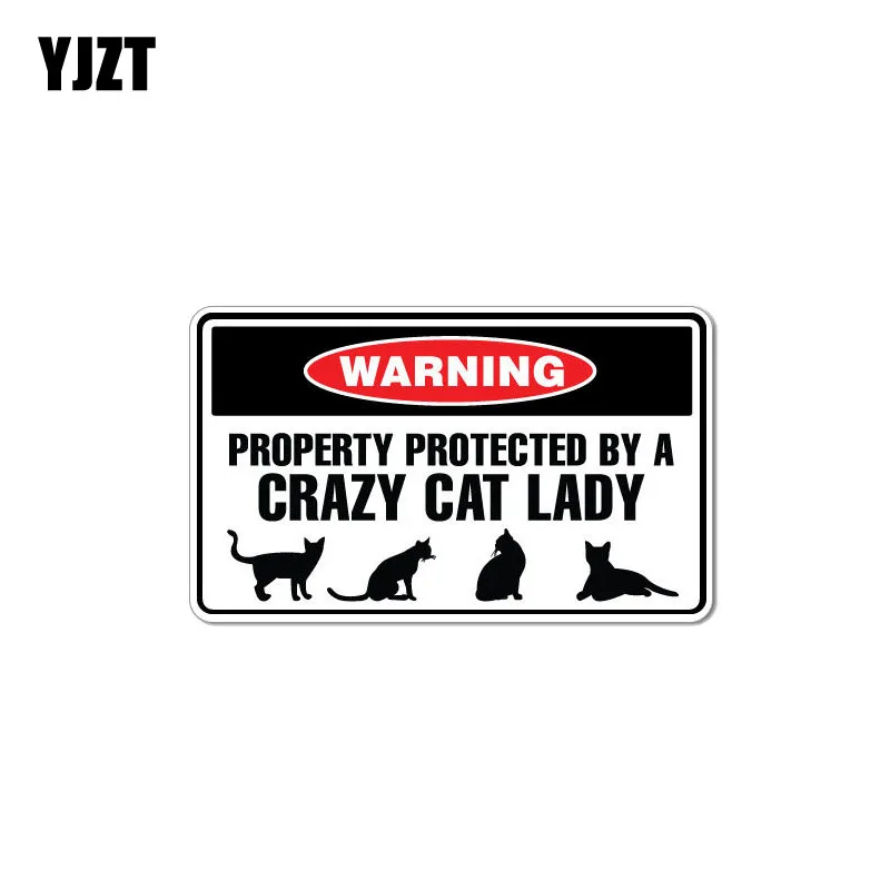 

YJZT 15CM*8.8CM Funny Protected By Crazy Cat Lady Animal PVC Decal Car Sticker 12-1008