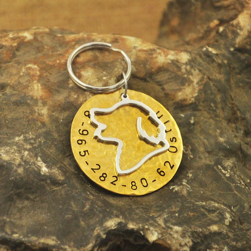 Золотистый ретривер бирка для собак медная индивидуальные идентификационные