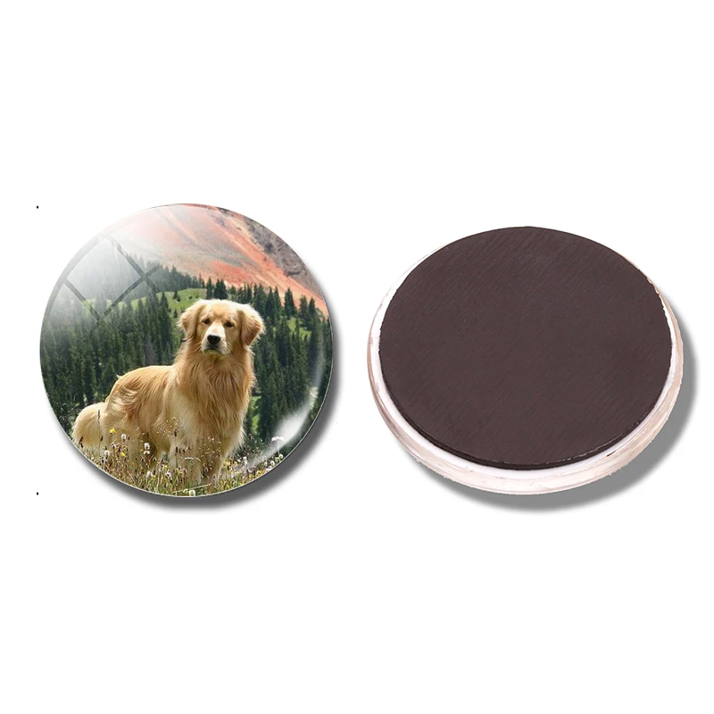 PACK OF 1 Милая Собака 30 мм магнит на холодильник смешная собака Любовник подарок стеклянный купол магнитные наклейки на холодильник держатель для заметок украшение дома - Цвет: PACK OF 1