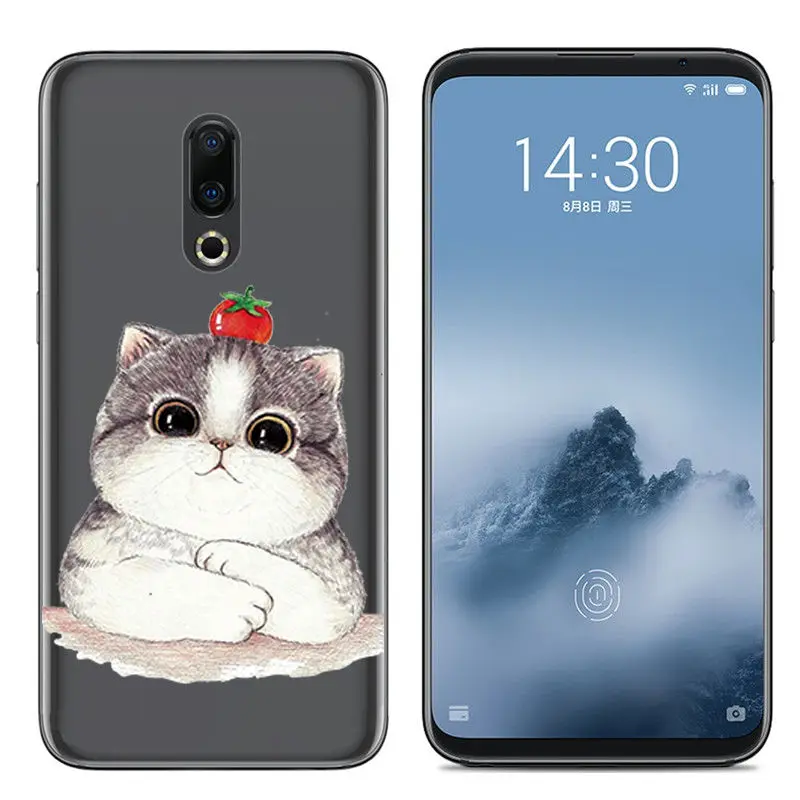 Силиконовый чехол Arvin для Meizu 16 16X 16th Plus мягкая задняя крышка из ТПУ M5C MX6 M6S Pro 6 M5 note M6