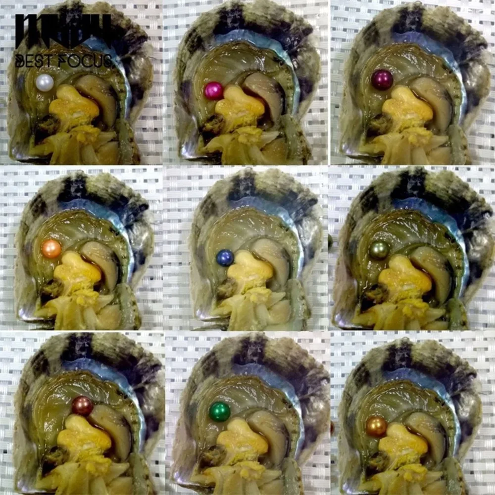 6 шт жемчуг в вакуумной упаковке Oyster ракушка пресноводный таинственный Сюрприз