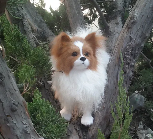 ΠΠΈΠ»ΡΠΉ Π±Π΅Π»ΡΠΉ Π±Π°Π±ΠΎΡΠΊΠ°, ΠΌΠΎΠ΄Π΅Π»Ρ 28x27 ΡΠΌ, ΠΌΠΎΠ΄Π΅Π»Ρ ΡΠΎΠ±Π°ΠΊΠΈ ΠΈΠ· ΠΏΠΎΠ»ΠΈΡΡΠΈΠ»Π΅Π½Π° ΠΈ ΠΏΡΡ
Π°, ΡΠ΅ΠΊΠ²ΠΈΠ·ΠΈΡ Π΄Π»Ρ ΡΠΊΡΠ°ΡΠ΅Π½ΠΈΡ Π΄ΠΎΠΌΠ°, ΠΌΠΎΠ΄Π΅Π»Ρ Π² ΠΏΠΎΠ΄Π°ΡΠΎΠΊ d339 ΠΠΈΠ»ΡΠΉ Π±Π΅Π»ΡΠΉ Π±Π°Π±ΠΎΡΠΊΠ°, ΠΌΠΎΠ΄Π΅Π»Ρ 28x27 ΡΠΌ, ΠΌΠΎΠ΄Π΅Π»Ρ ΡΠΎΠ±Π°ΠΊΠΈ ΠΈΠ· ΠΏΠΎΠ»ΠΈΡΡΠΈΠ»Π΅Π½Π° ΠΈ ΠΏΡΡ
Π°, ΡΠ΅ΠΊΠ²ΠΈΠ·ΠΈΡ Π΄Π»Ρ ΡΠΊΡΠ°ΡΠ΅Π½ΠΈΡ Π΄ΠΎΠΌΠ°, ΠΌΠΎΠ΄Π΅Π»Ρ Π² ΠΏΠΎΠ΄Π°ΡΠΎΠΊ d339