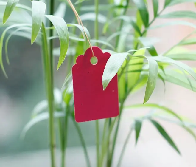 100pcs Flower gardening label inserted Insert tag | Инструменты