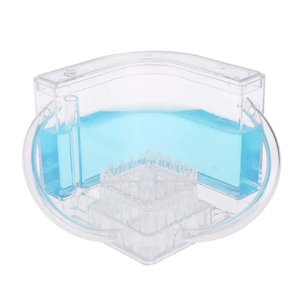 blue OOTDTY 3D Красочные муравьиная ферма игрушки развивающие лабиринт система живого кормления место обитания мир домашних животных вилла - Цвет: blue