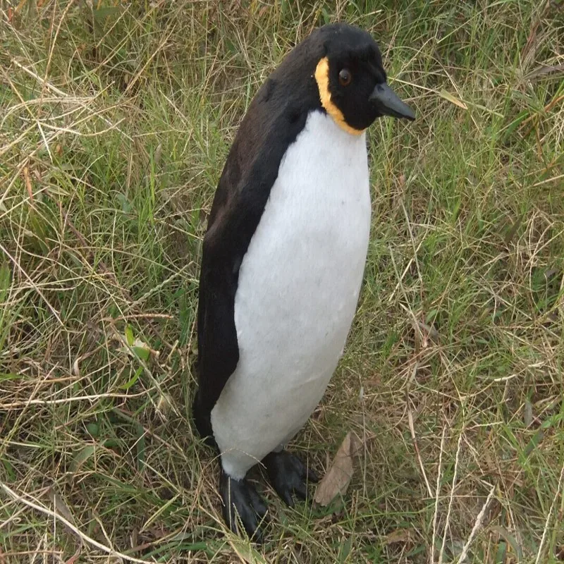 Большой 40x17 см Пингвин модель игрушки полиэтилен и меха смолы ручной работы, реквизит, украшение подарок d0147