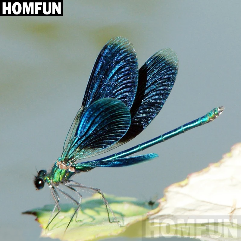 

Алмазная 5D Вышивка HOMFUN «стрекоза», картина с полными квадратными/круглыми стразами, для домашнего декора, 3D вышивка крестиком, A00161