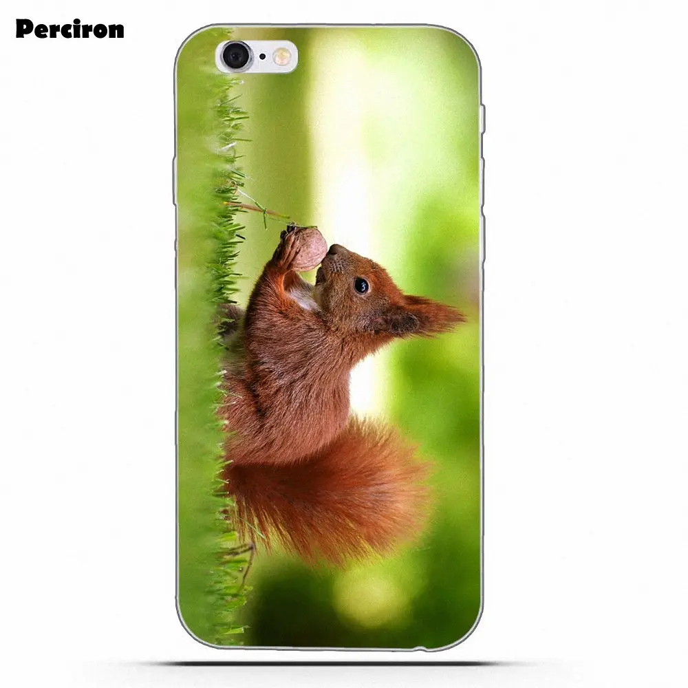 as picture Perciron Squirrel Soft TPU Print Cover Case For Xiaomi Redmi Note 2 3 3S 4 4A 4X 5 5A 6 6A Pro Plus - Цвет: as picture