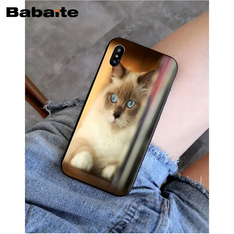 Babaite сиамская кошка красивый чехол для телефона iphone 8 8plus и 7 7plus 6s Plus 6 плюс 5s