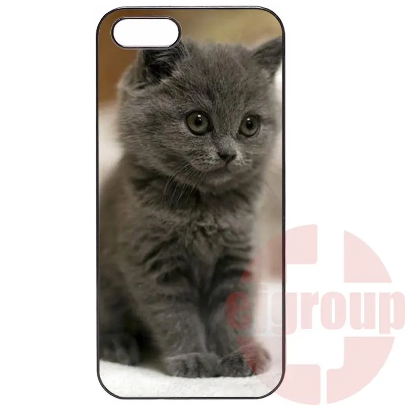 gray cat with a zenit camera For Galaxy Y S5360 Note 3 Neo Ace Nxt Plus On5 On7 On8 2016 Amazon Fire Hard Case |