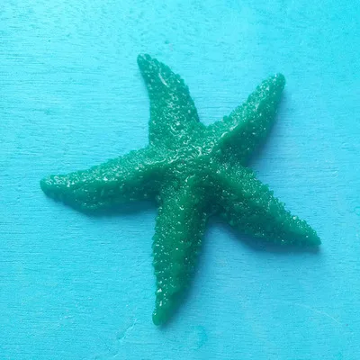 1 шт./лот, изделия из смолы, на палец, морская звезда, драпировка, "-4", отличные Свадебные или вечерние украшения для дома, Морская звезда, морская раковина - Цвет: 7.5cm green