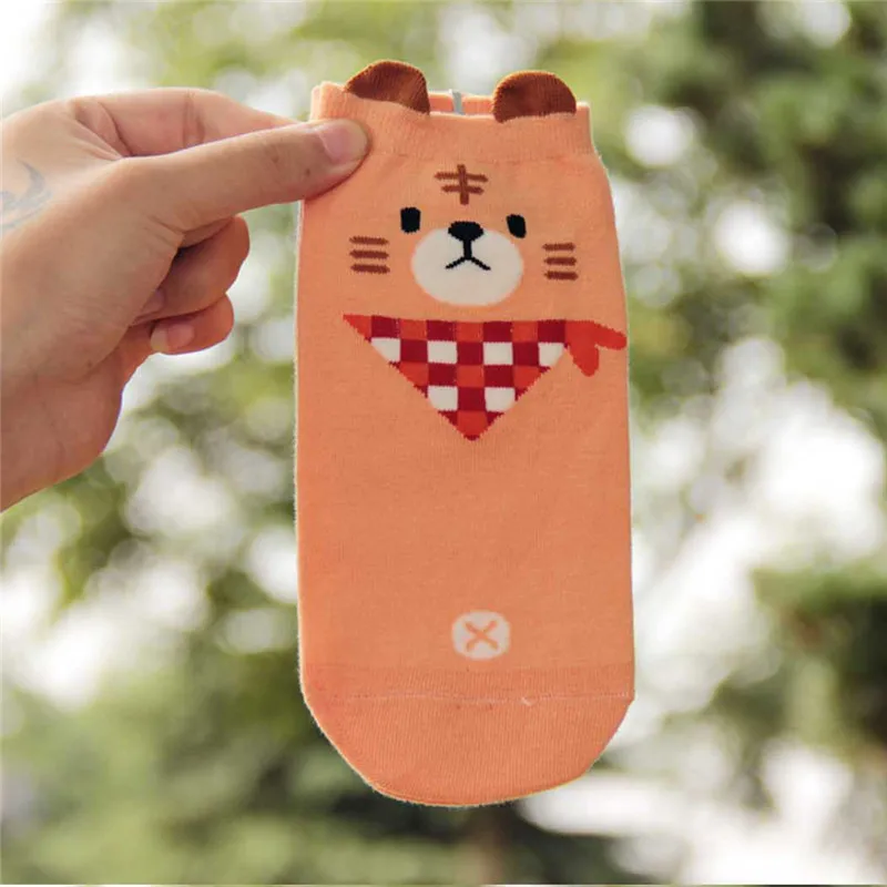 Женские хлопковые носки Chaussettes корейские шорты с милыми животными осенние