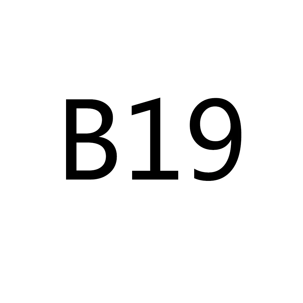 B19