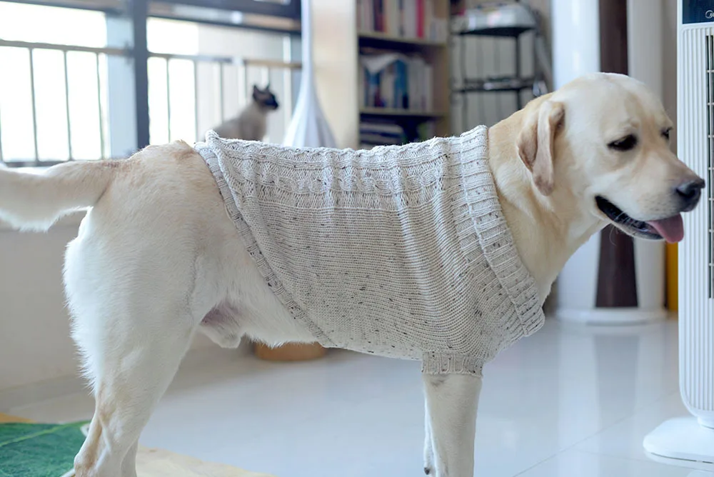 [MPK Dog Sweater] шерстяной свитер для маленьких и средних собак, шерстяной свитер для собак, свитер для Лабрадора, одежда для собак, 4 размера s