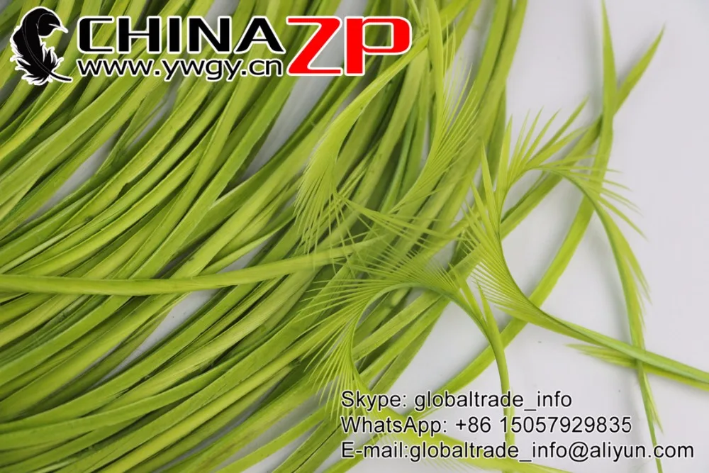 Гусиное перо CHINAZP 20-25 см (8-10 дюймов) гладкая розничная упаковка зеленые гусиные