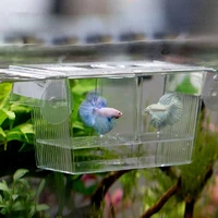 high quality aquarium fish tank guppy double breeding breeder rearing trap box hatchery