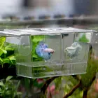 Высокое качество аквариумный аквариум Гаппи двойной селекционный заводчик ловушка коробка инкубатория