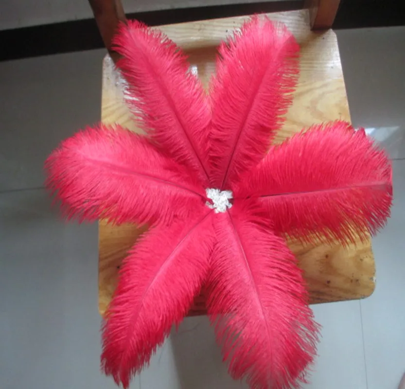 Wholesale! 10 PCS/a lot of beautiful red ostrich feathers 20-25 cm / 8-10 inches wedding celebration decoration | Дом и сад
