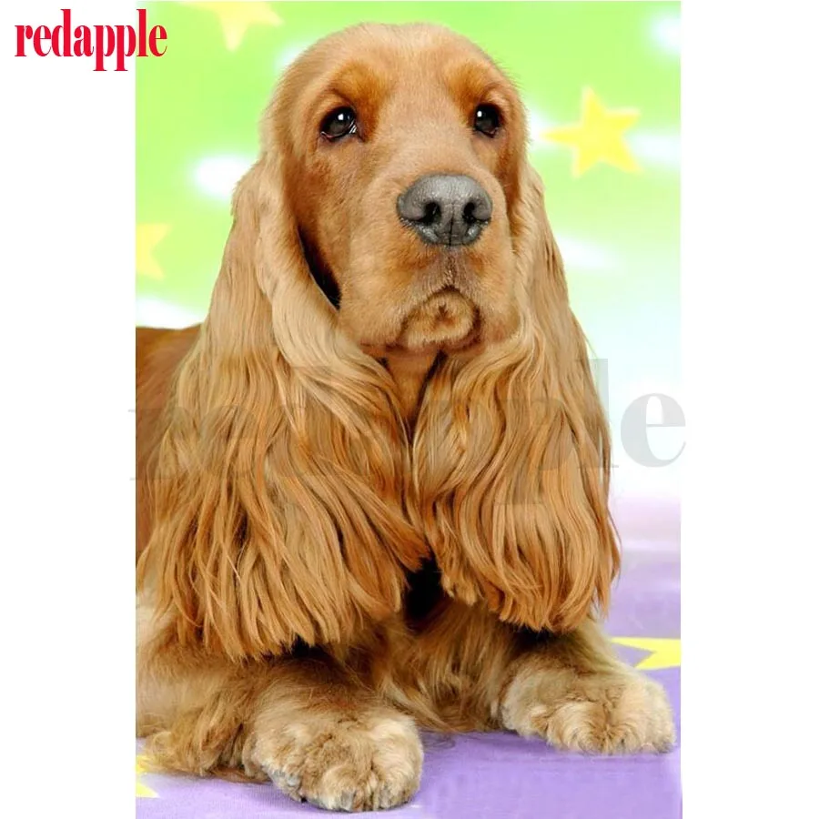 

DIY 5D Square Diamond Embroidery dog Patterns Diamond Mosaic British cocker spaniel Handmade Diamond Painting Cross Stitch Kits