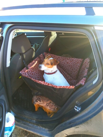 Водонепроницаемая одноместная переноска для домашних животных двухслойная