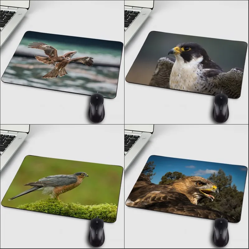 

Mairuige Creative Printed Falcon Owl HD Art Pattern Wallpaper Computer Mini Pc Mousepads for Animals Lover and Game Player
