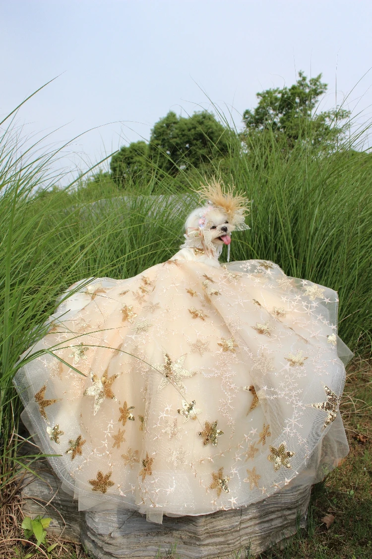 Pet Dog Dress Luxury Trailing Princess Wedding Dress For Small Dogs Golden Embroidery Puppy Clothes Lace Dress Chihuahua Poodle
