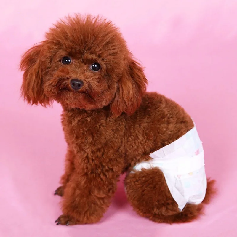 10 шт. одноразовые подгузники для собак супер Впитывающее Влагу домашних питомцев