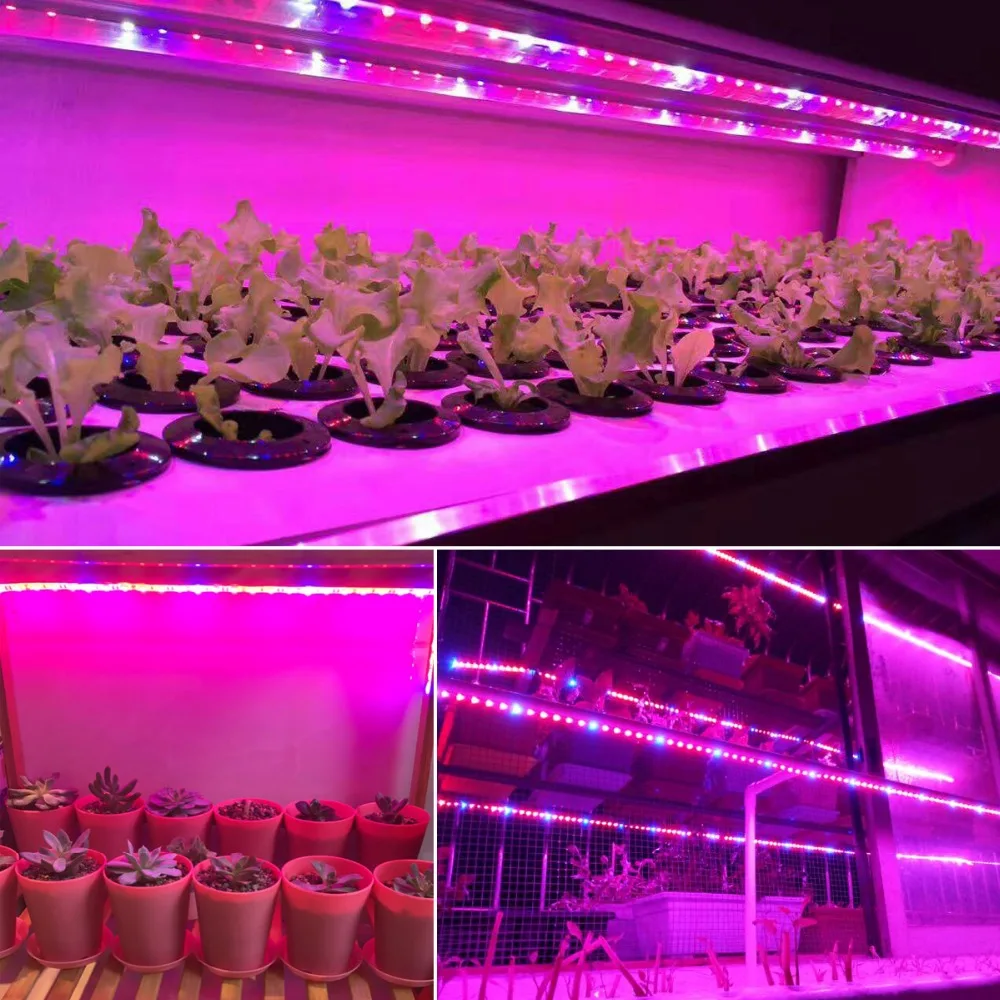 Светильник для выращивания растений полный спектр 5050 светодиодный светильник