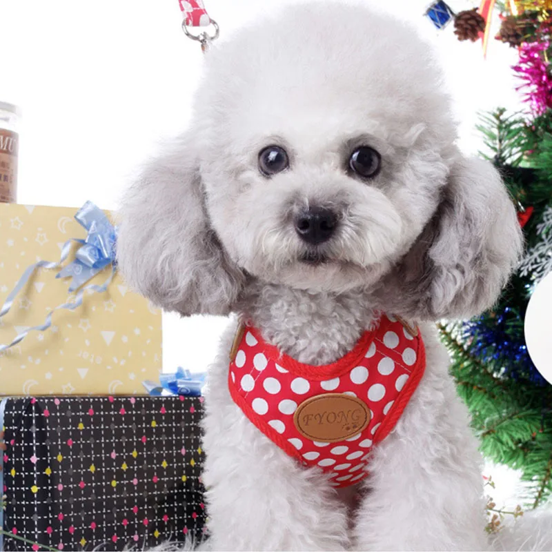 

Pet Dog Cat Adjustable Harness Leash For Dog Cat Puppy Pet Supplies Dog Leash Rope Pet Chest Strap PC614