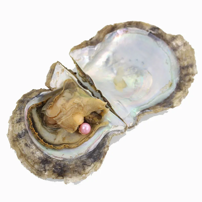 Круглая жемчужная Oysters AAAA + цветная вакуумная упаковка 7-8 мм Мидия
