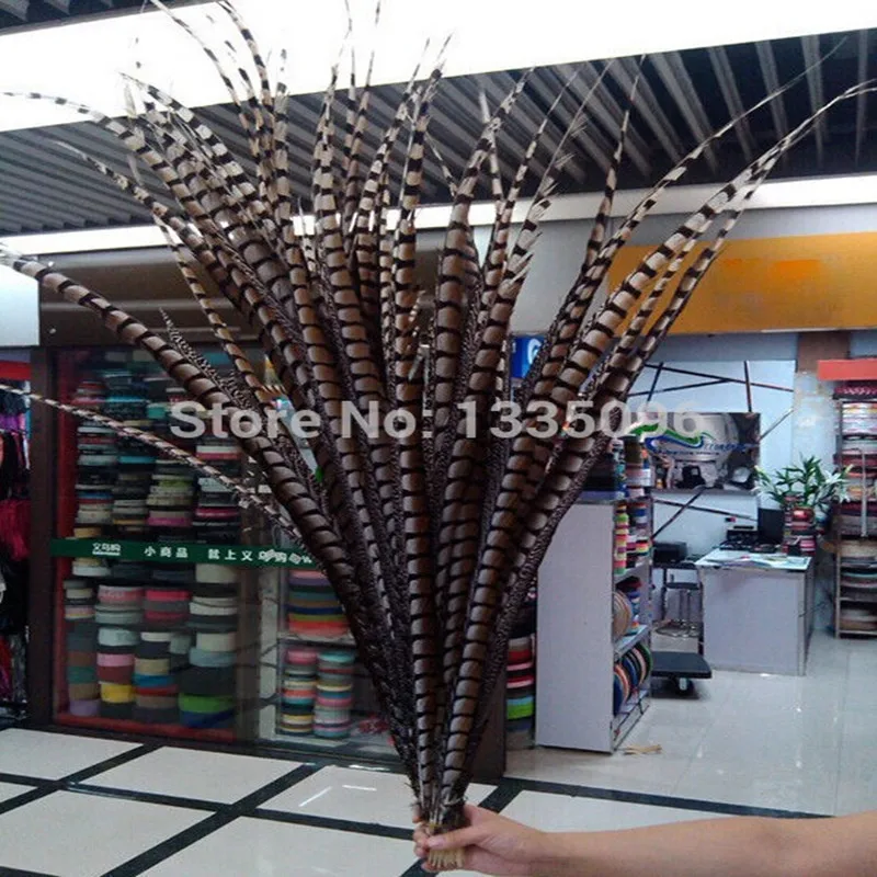 

80-90cm 30-35 inches 20pcs assorted colors ringneck Lady danceing pheasant tails Side pheasant feather