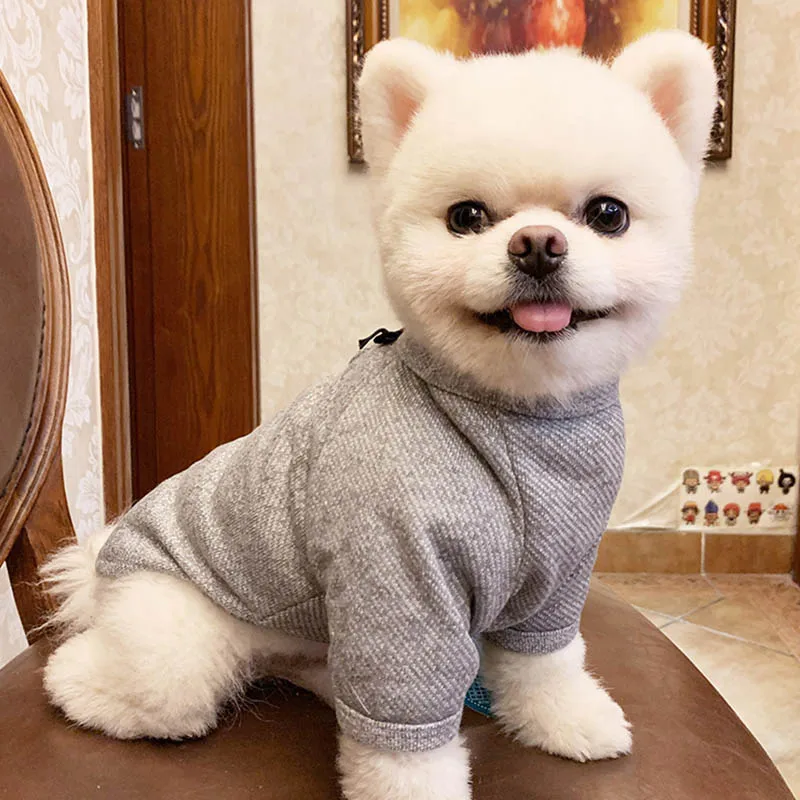Однотонные Одежда для собак простые модный дизайн; для собаки одежда весна лето домашние животные Собаки Одежда для маленьких средних собак костюм Чихуахуа Одежда