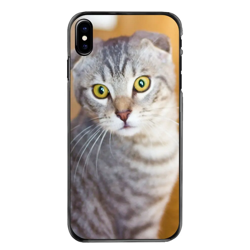 Шотландский складной Кот Felis catus Scotland для Iphone 4 4s 5 5S 5C SE 6 S 7 8 Plus X XR XS Max iPod Touch Жесткий