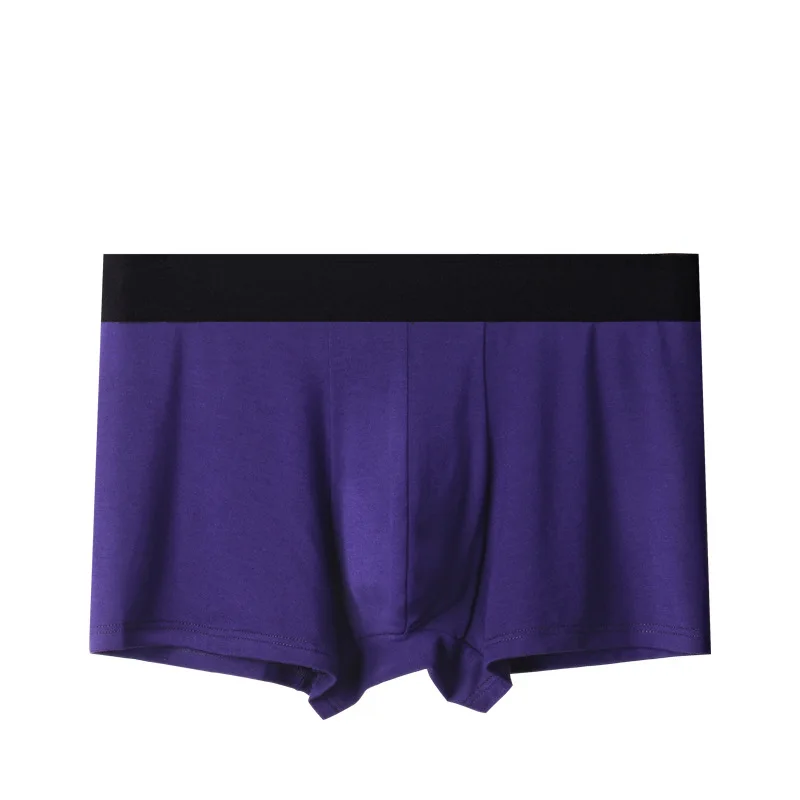purple 9906 4 шт./лот, мужское нижнее белье, боксеры, шорты, мужские сексуальные трусы для мужчин, s трусы, Модальные, сетка, Cuecas, боксеры для мужчин, размера плюс, 4XL, 5XL - Цвет: purple 9906