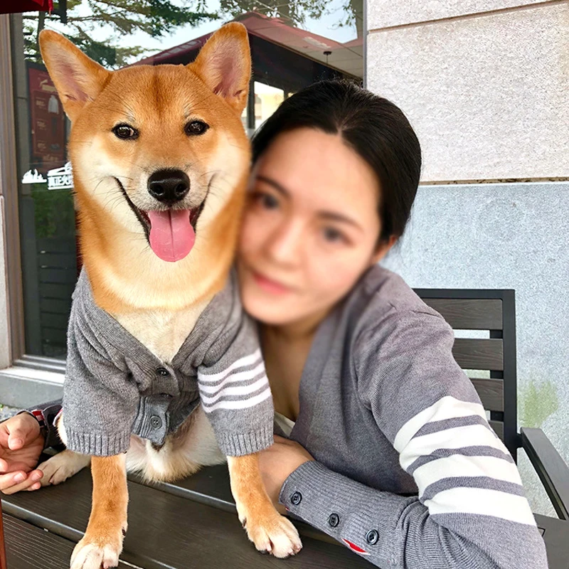 Качественные Свитера для собак маленьких свитер кошек модный одежда