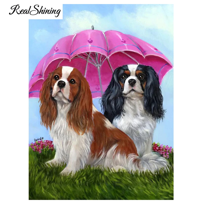 Diy Алмазная картина крестиком кавалер Кинг чарльз спаниель собака 5D мозаика