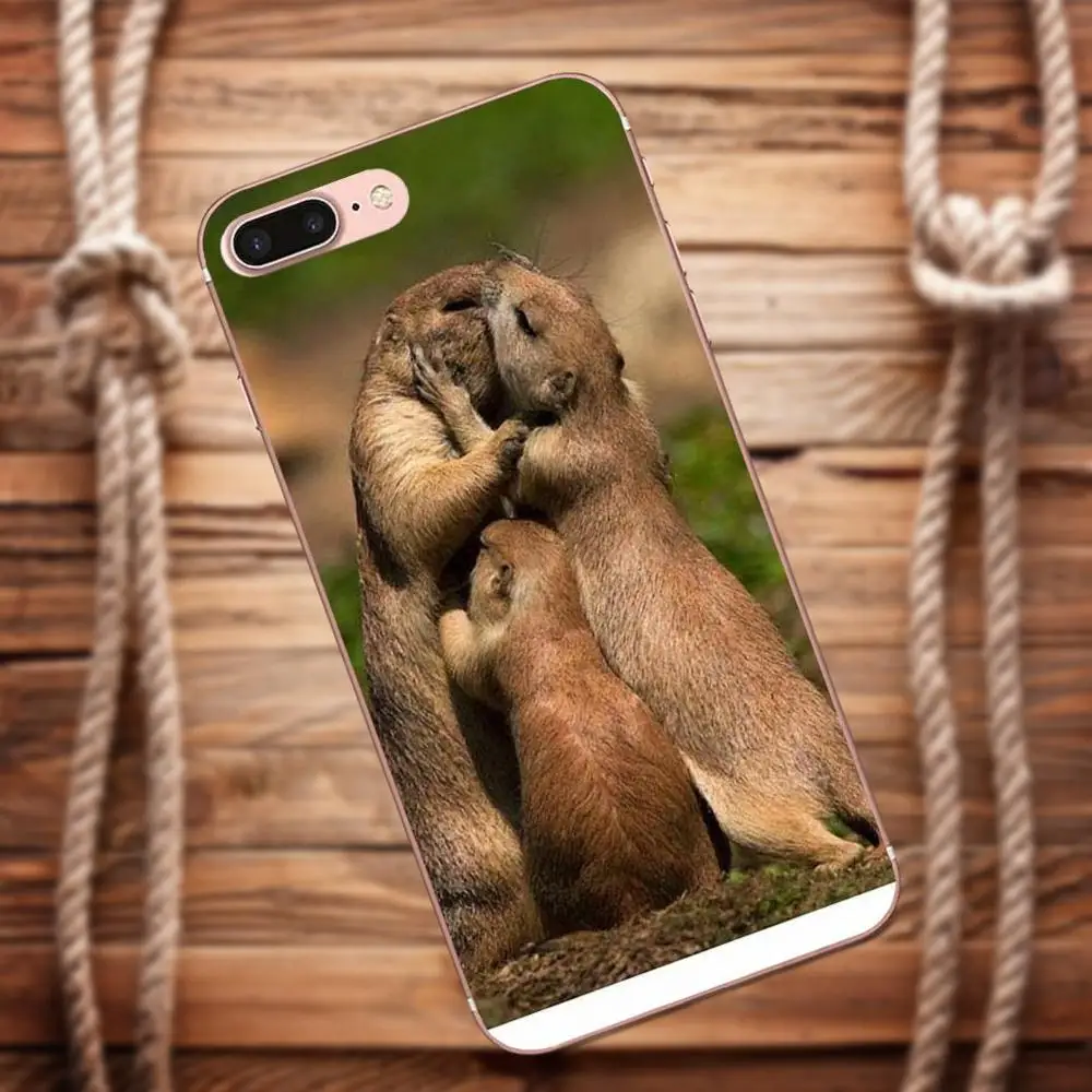 Vvcqod Soft TPU Custom Phone For Samsung Galaxy A3 A5 A7 J1 J2 J3 J5 J7 2015 2016 2017 Sloth Hanging Fat Sleepy Furry | Мобильные