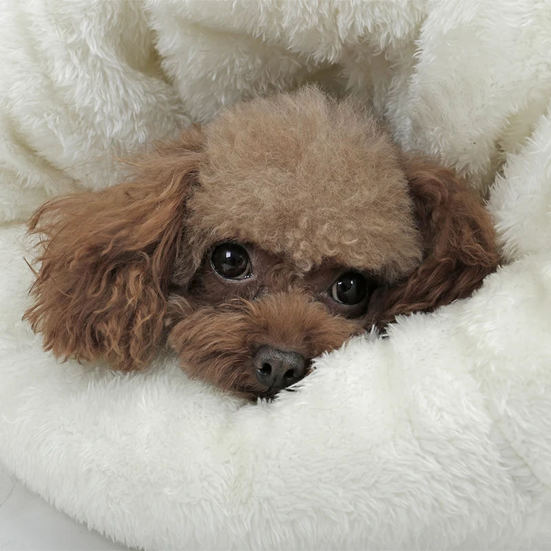 PAWZRoad ПЭТ кошка спальный мешок собака мягкие уютные кровати Подушка туннель двухсторонний плюшевый кролик котенок щенок 3 цвета несколько функций