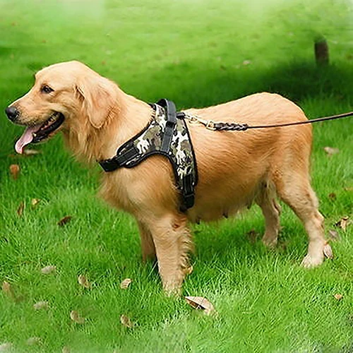 Регулируемая Подвеска для собак|dog harness|dog walkharness vest |