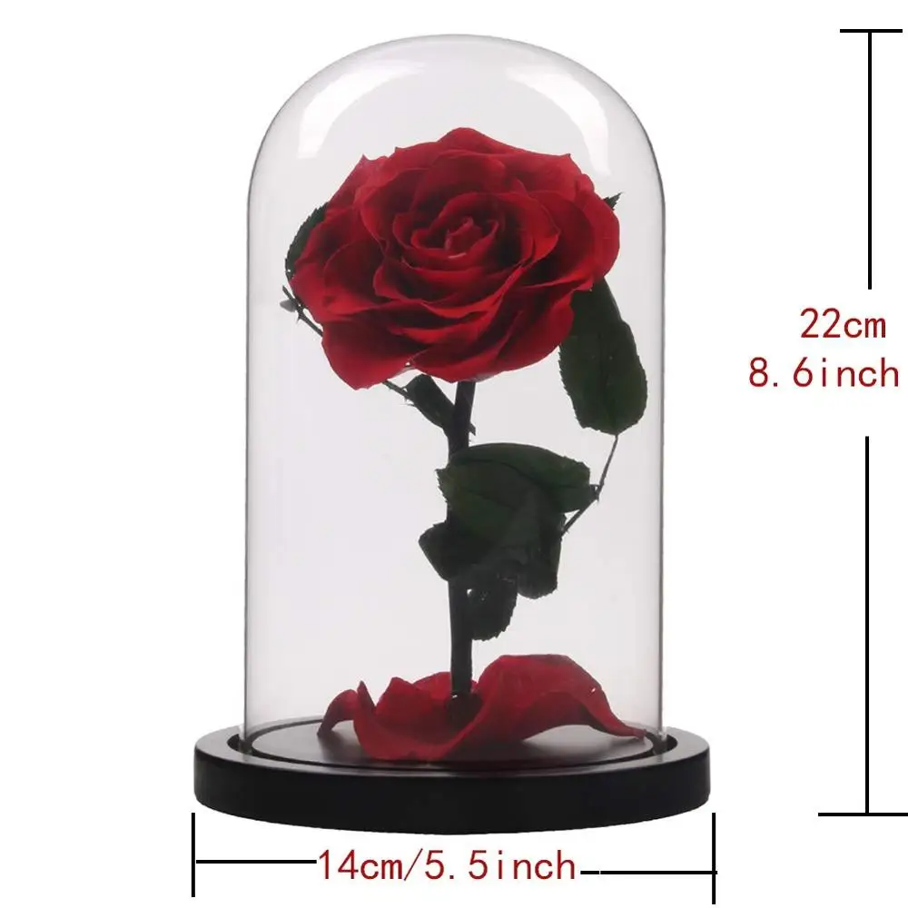 Зачарованная красавица роза сохраненный свежий цветок настоящие опавшие