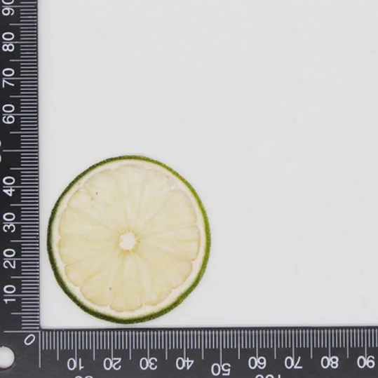 Green Lemon 10 шт прессованный высушенный фруктовый ломтик гербарий из растений для ювелирных изделий открытка с пригласительным билетом чехол для телефона Закладка рукоделие Изготовление DIY - Цвет: Green Lemon