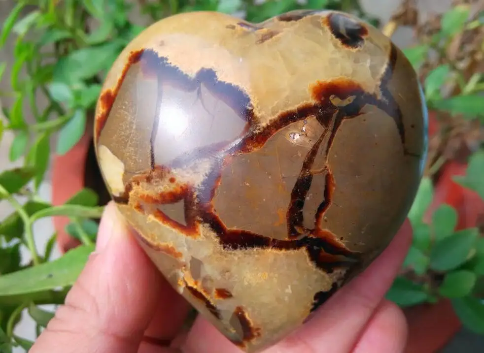 260 г Septarian Дино &quotКамень Дракона&quot в форме сердца образец|specimen| |