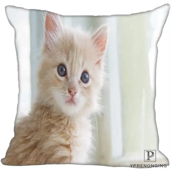 Square Pillowcases Custom Decorative Pillowcase Cats Kitten Rain Square Zippered Pillow Cover(One Side)80527-21-03 - Цвет: Square Pillowcases