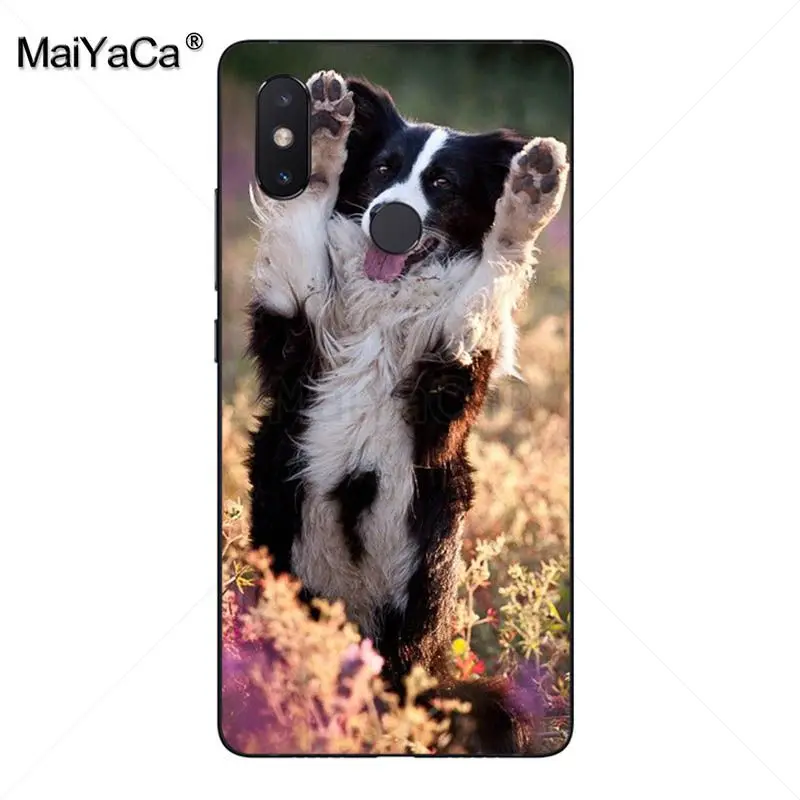MaiYaCa милый чехол для телефона с изображением колли собаки новинка xiaomi mi 8se 6 note3 redmi