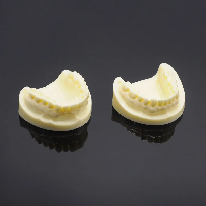 

Clinic Equipment Dental Teaching Model 1 Pcs Dental White Corundum Tooth Model
