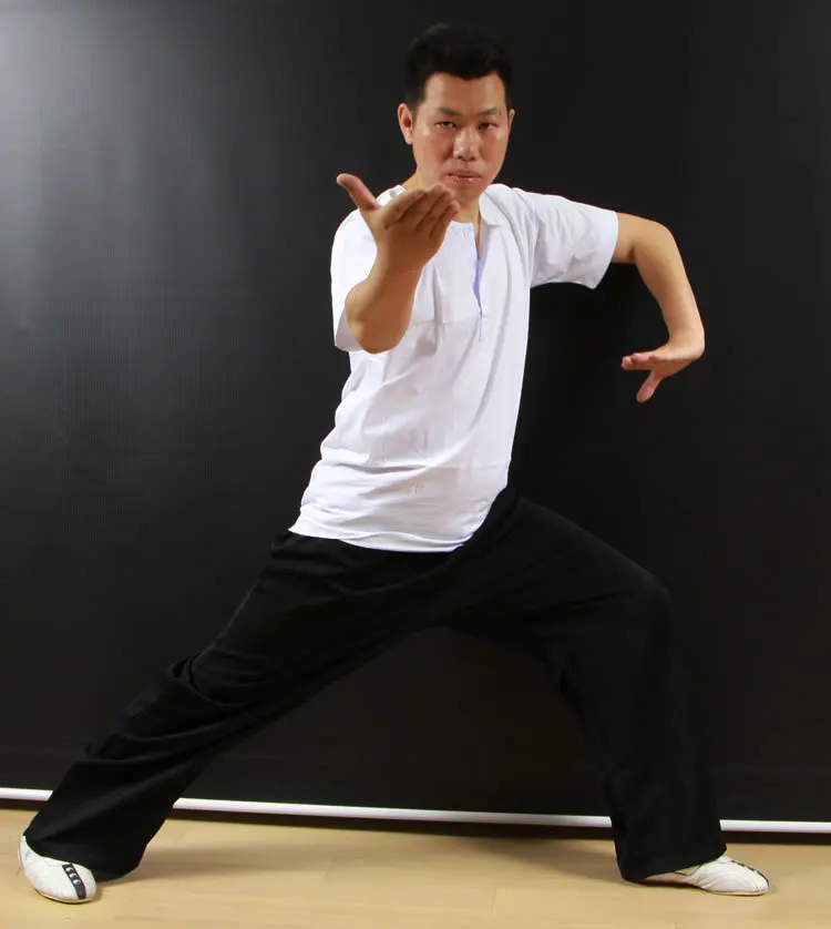 Мужская футболка из 100% хлопка одежда рубашка Кунг фу хлопковая с коротким