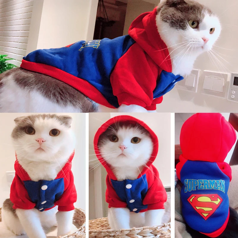 Костюмы с рисунком кота; сезон осень-зима; теплая хлопковая куртка для питомца для кошек, собак; Сфинкс; толстовки с принтом котенка; одежда